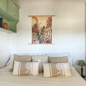 https://la-cabana-a-orillas-del-palmar.es-andalucia.com